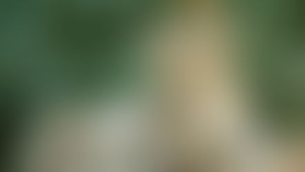 Türkiye welcomes zoological collaboration with China