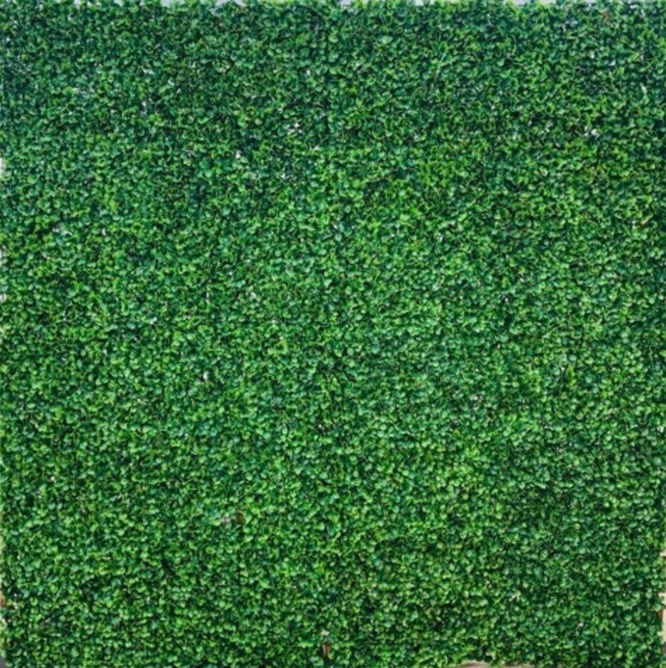 Boxwood Grass Backdrop