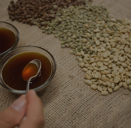 Copia de AquiaresEstate_imprimir_410_edi