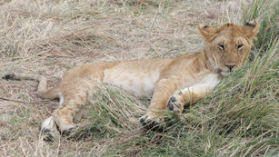 Kenya - Travel Photography