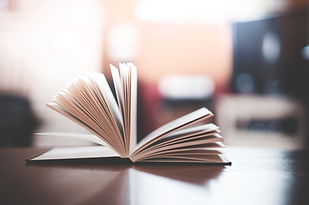 נעמי מיכאל. יעוץ אי