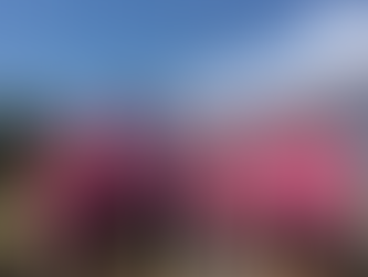 The ELIFAR Challenge - 2018