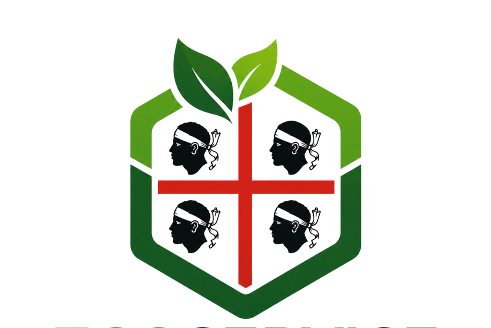 Copia di se lo regali te lo veniamo a prendere (2).png