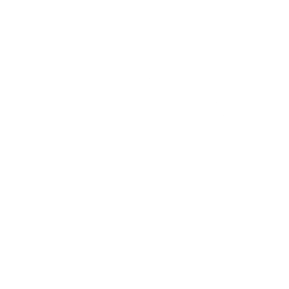 —Pngtree—white whatsapp icon png vector_3562063_edited.png