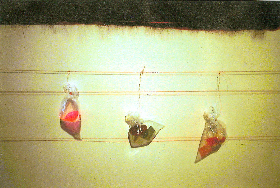 Aspex Gallery 2001