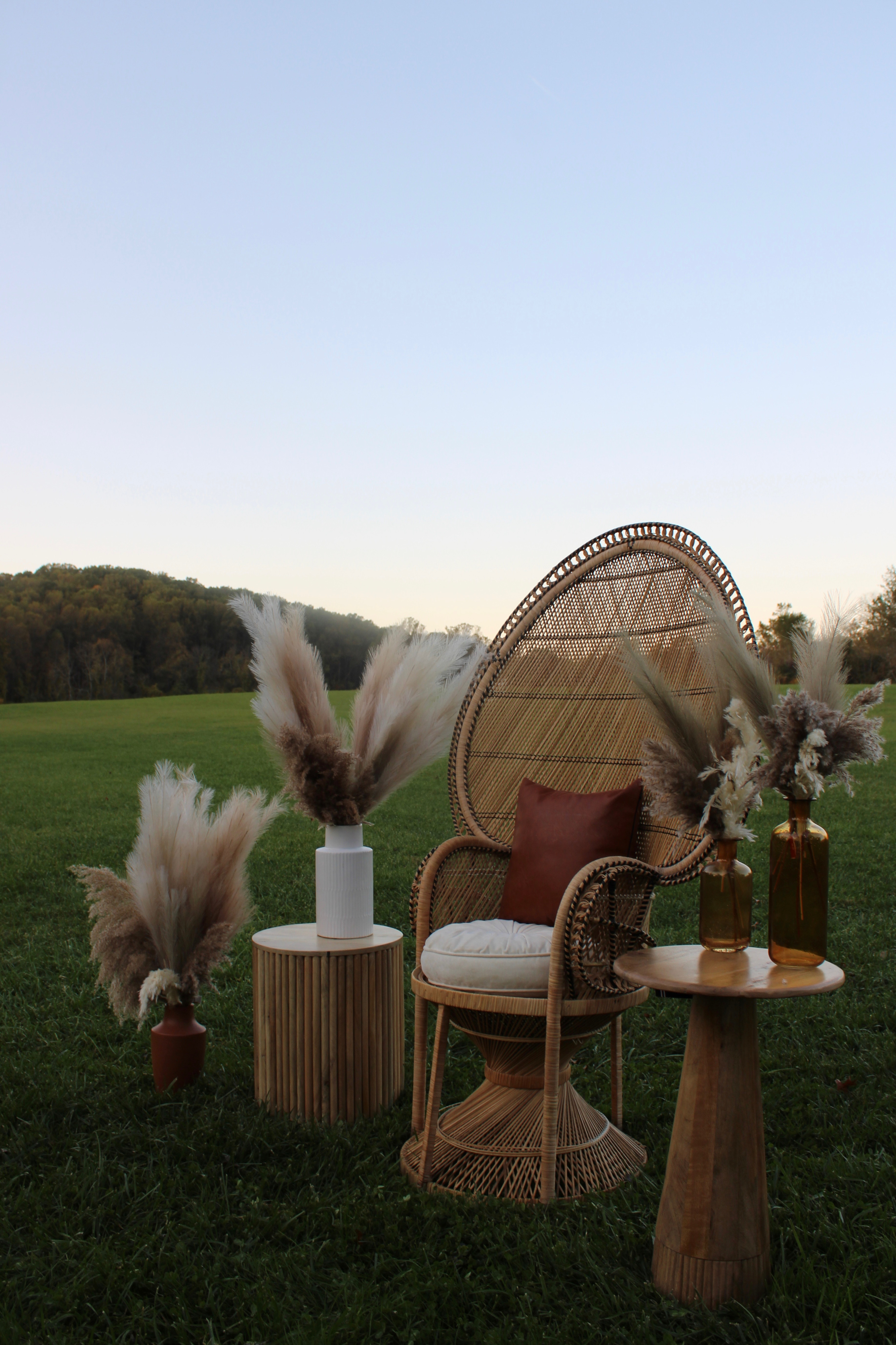 BUNDLE: Peacock Chair & Accessories