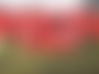 students walking down some steps talking. Red text with 'Engaging Youth: Something about students' written across it and the Thread & Fable logo bottom right