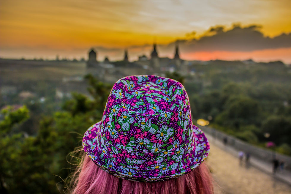 Image is a view from behind someones head looking out on a sunset. They have pink hair and a brightly coloured floral trilby hat.