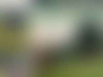 Couples' Night Results - 06/09/23