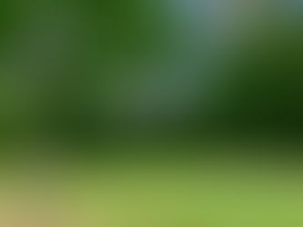 Couples' Night Results - 07/03/20