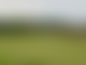 Men's Night Results - 05/15/23