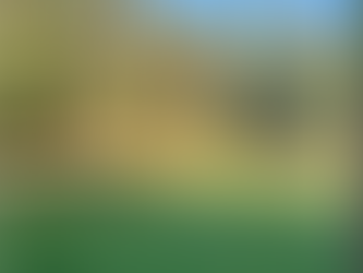 Ladies' Night Results - 09/07/22