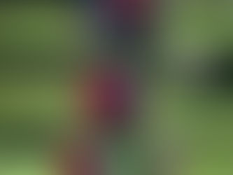 Nauta and Harrington Win Their 8th Highview 2 Man Championship!