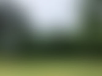 Busch Hits Second Highview Ace!