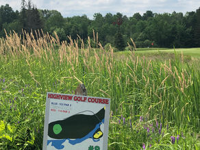 Alkins Records First Highview Hole-in-One of '19!