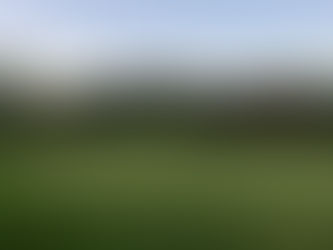 Ladies' Night Results - 09/16/20