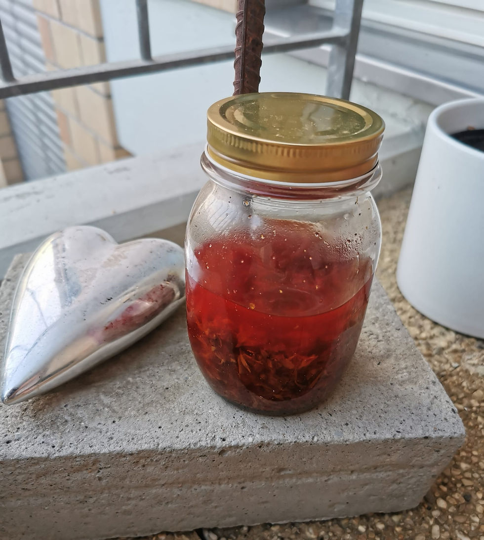 Rotöl – wenn Johanniskraut sein rotes Geheimnis preisgibt