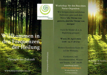 Zoom-Workshop Natur-Quantenorgonit