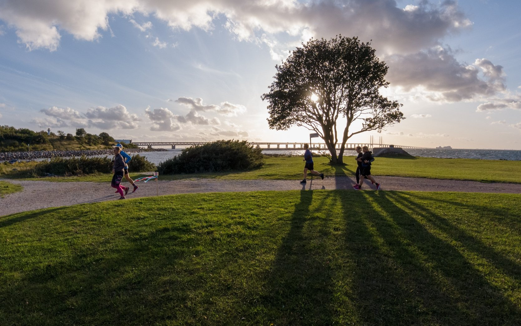 The Bridge Backyard Ultra Sweden Runners Backyard Ultra