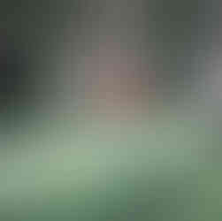 the painting in progress