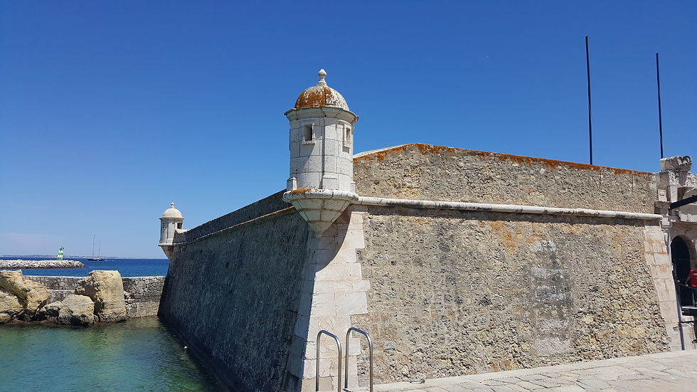 20190616_140142.jpg