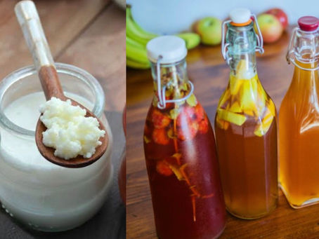 Alimentos e bebidas fermentadas e saúde:Moda? Mito? Fato? Verdade?