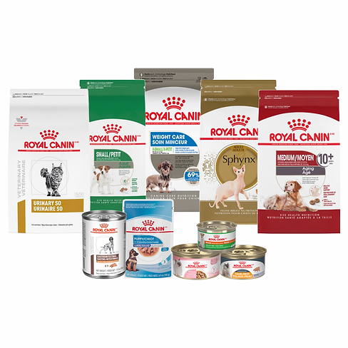 royal-canin-1024x1024.png
