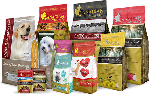 Home-Image-Top-Right-1.png