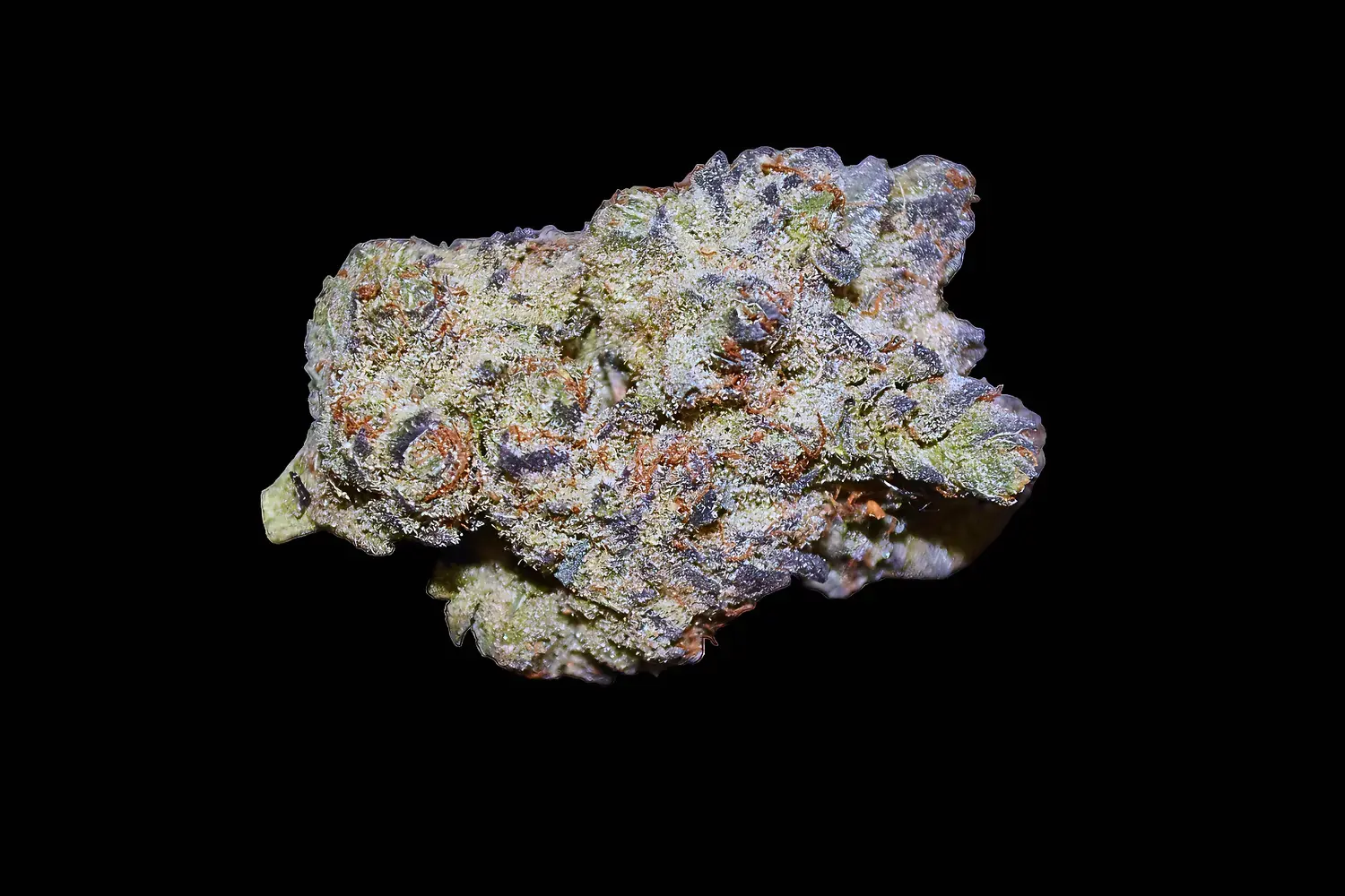 White Strain