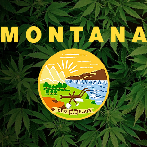 Looking for THC in Montana? THCA Offers Legal Access to the Best Cannabis Strains Nationwide