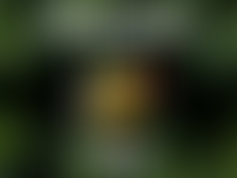 Is THCA Legal In Wisconsin? Yes, But Without a COA, You’re Taking a BIG Risk