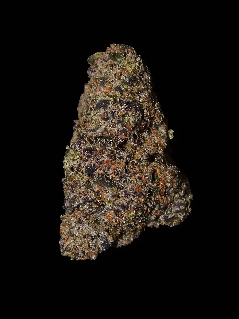sunset sherbet strain New York