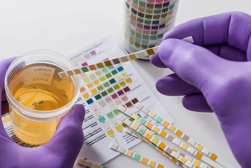 how long does thca stay in your system