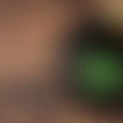 Tennessee Hemp Industry Gets a Six-Month Breather: What Does It Mean for THCA Sellers?