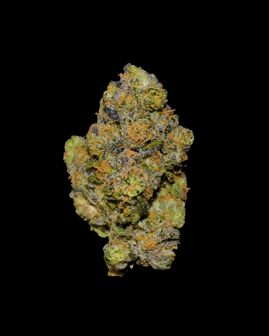 Jelly Zappers - Quarter Ounce (7 Grams)