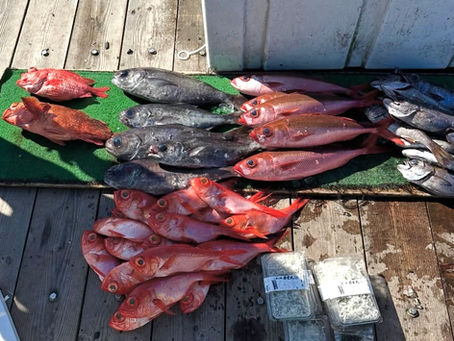 《12月イベント情報》