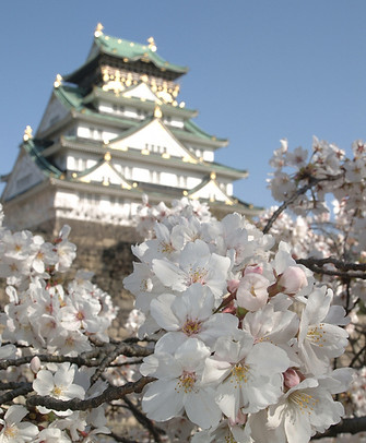 “Kaga Hyakumangoku” refers to the Kaga Domain, one of the most powerful and prosperous domains in Japan during the Edo Period