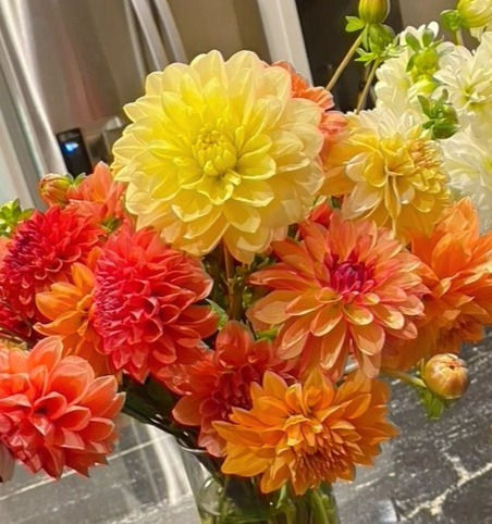 Thumbnail: Day Dreamer