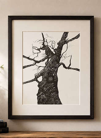 Pen and Ink