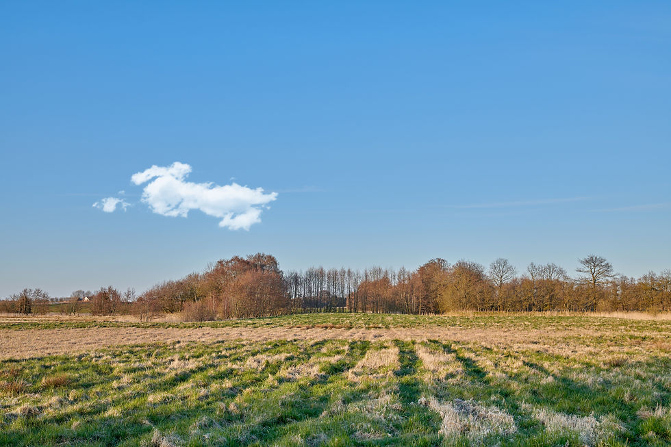 the-forest-2025-04-06-13-11-12-utc-min-min.JPG
