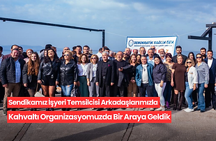 dss web banner (1).png