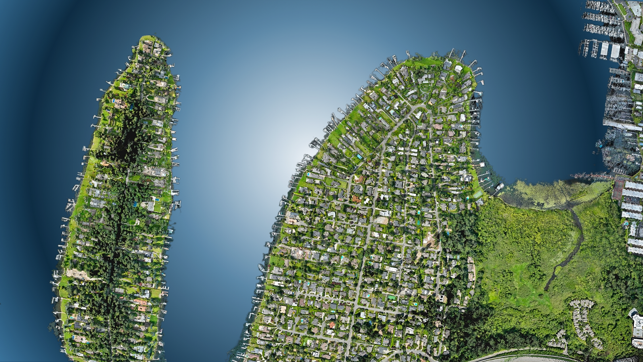 Copy of Blue Feahter-2.png