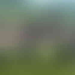 Saint Eulalie de Cernon