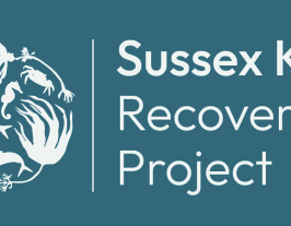Ferry Farm Helps Power Sussex Kelp Recovery