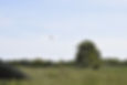Swifts fly over panels at ferry farm.JPG