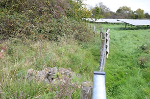 hedgerows.jpg