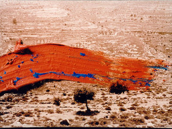 Stained Landscapes
Photographs  MULTIMEDIA 2004