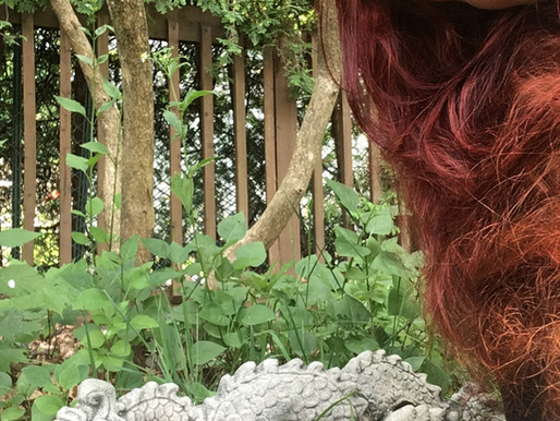 Of Dragons and Ants (EN - IT)