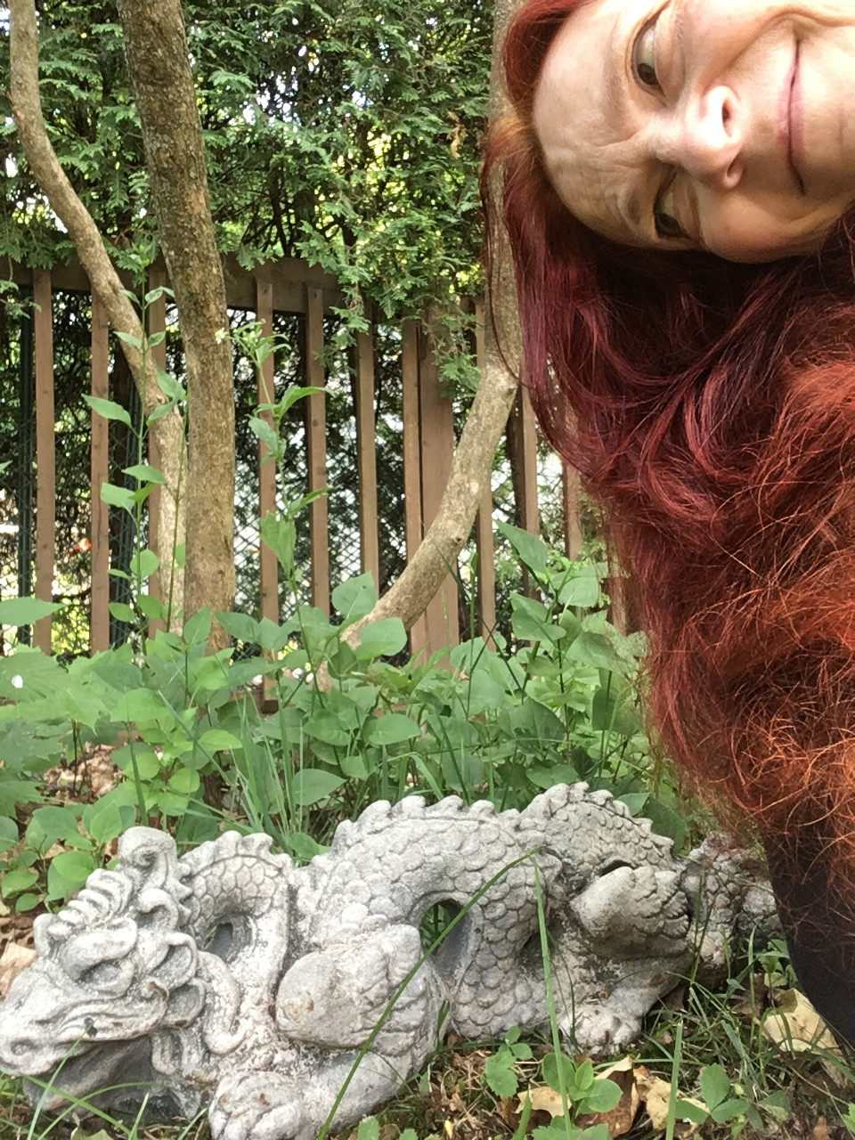 Stone Dragon