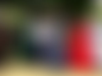 Emancipation Statue Still Stands in Lincoln Park